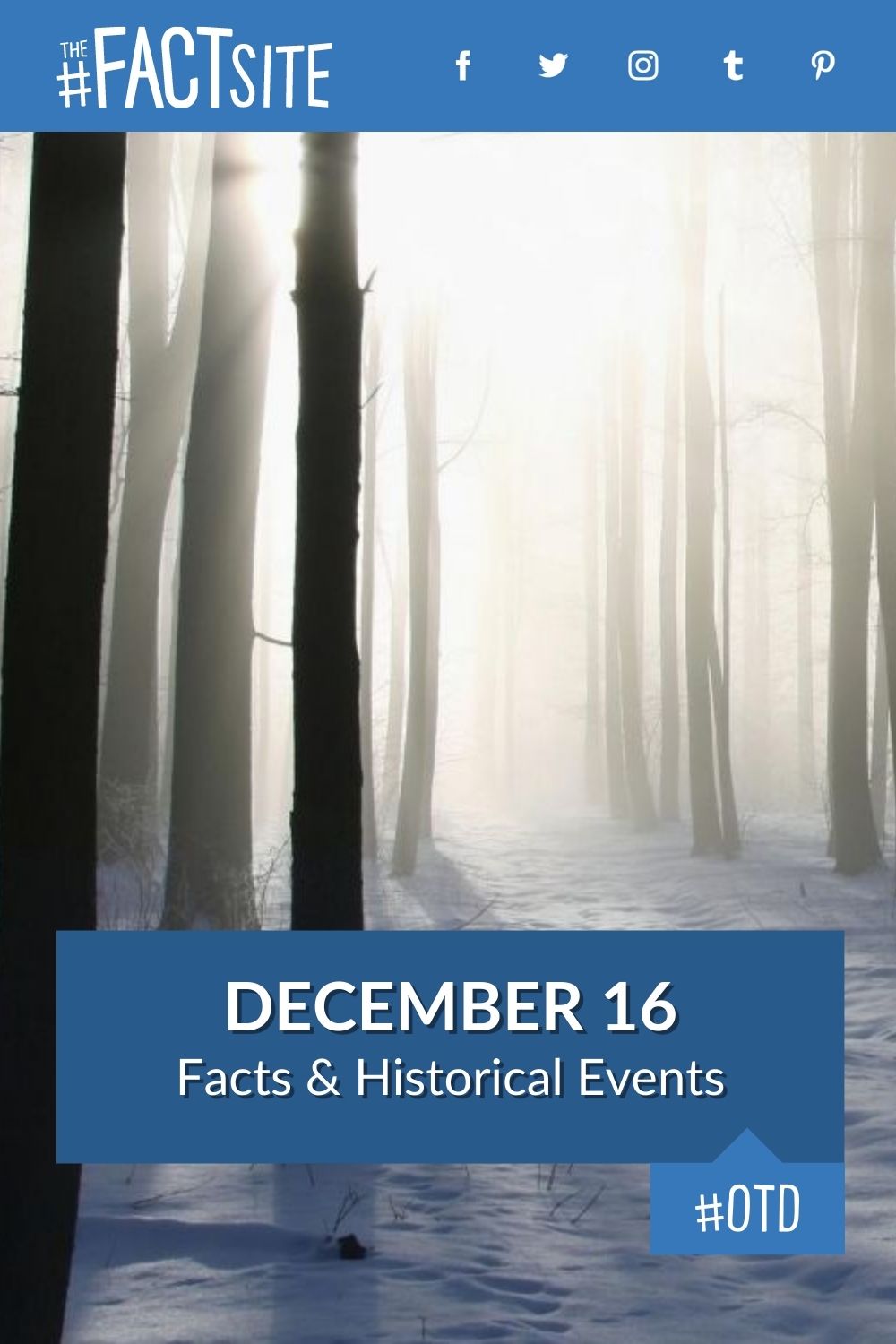 on 16 december which day is celebrated